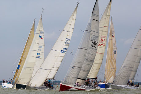 industry corporate sailing regatta