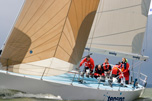 Participation in Dutch regatta's